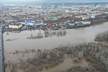 Помочь может каждый!